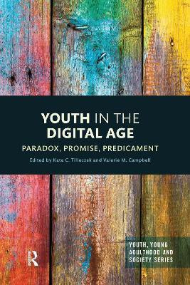 Youth in the Digital Age(English, Paperback, unknown)