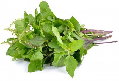 Paudha Tulsi Holy Basil Seed(160 per packet)