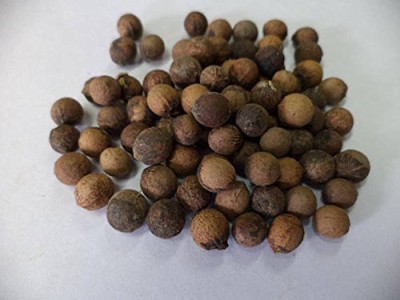 Green India Sandalwood, Chandan, White Sandal Wood, Chandanam, Sandal Seed Seed(400 per packet)