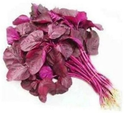 Paudha Red Amaranthus Vegetable Seed(20 per packet)