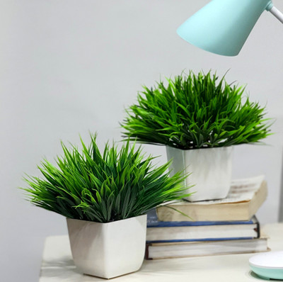Flipkart SmartBuy Set of 2 Great For Home Or Office Decoration or birthday Gift, Table Top Bonsai Artificial Plant with Pot(18 cm, Multicolor)