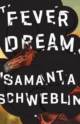 Fever Dream(English, Paperback, Schweblin Samanta)