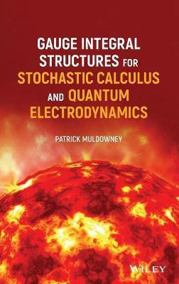 Gauge Integral Structures for Stochastic Calculus and Quantum Electrodynamics(English, Hardcover, Muldowney Patrick)