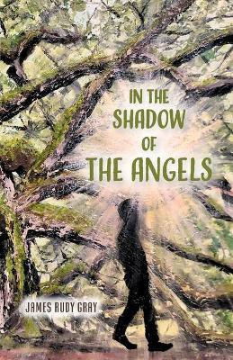 In the Shadow of the Angels(English, Paperback, Gray James Rudy)