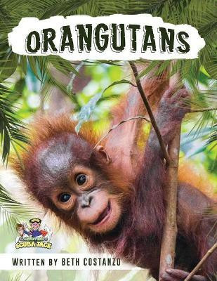 Orangutan Activity Workbook for Kids age 4-8!(English, Paperback, Costanzo Beth)