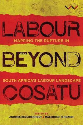 Labour Beyond Cosatu(English, Paperback, unknown)