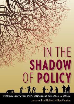 In the Shadow of Policy(English, Paperback, Hebinck Paul)