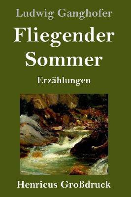 Fliegender Sommer (Grossdruck)(German, Hardcover, Ganghofer Ludwig)