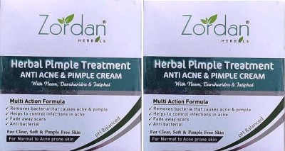 ZORDAN Anti Acne & Pimple Cream (100 gm) (Pack Of 2)(100 g)