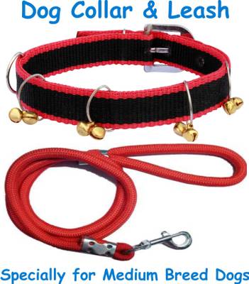 Dog belt price in flipkart deals