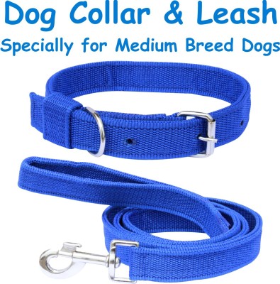 PEDIGONE Good Quality 1inch Blue Dog Collar Belt, 1.2m Lengthy Dog Collar & Leash(Medium, BLUE)