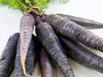 V Seed Black Carrot Gajar Seed Seed(30 per packet)