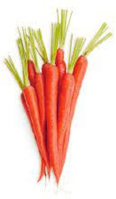 V Seed Red Organic Carrot Seed Seed(10 per packet)
