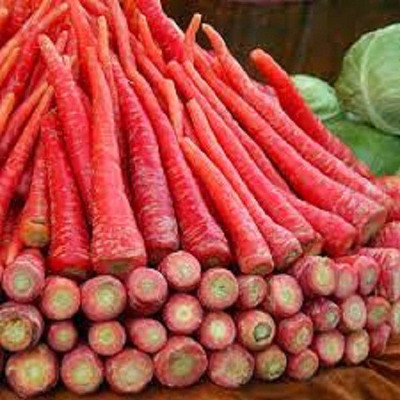 V Seed Hybrid Red Carrot Seed Seed(160 per packet)