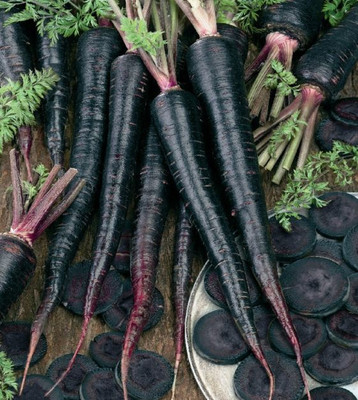 V Seed Black Carrot Deep Purple Carrot Planting Seed Seed(30 per packet)