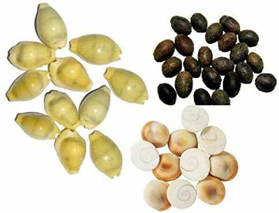 Hundur Store Pack of 11 Pilli Kodi, 11 Kamal Gatta Seed and 11 Gomati Chakra Multi Colour Marble Yantra(Pack of 11)