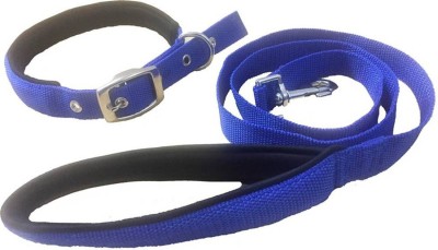 ALCAZAR Soft Padded Collar & Leash Set (Blue-Black, Medium, 1inch) Dog Collar & Leash(Medium, Blue)
