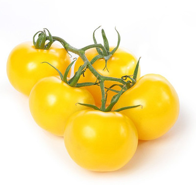 XOLDA Tomato Yellow Seed(37 per packet)