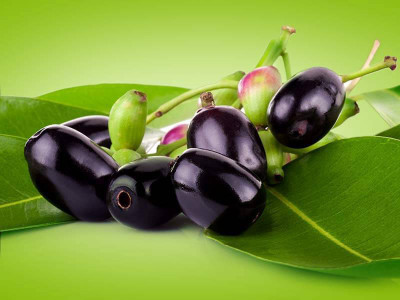 Paudha Jamun (Black Plum) Seed(20 per packet)