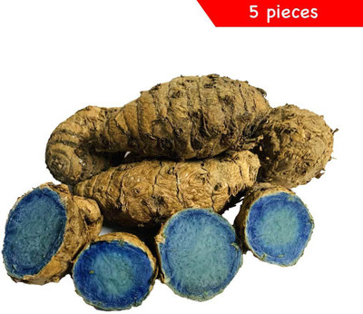 Tarviz 5Pcs black turmeric, Karumanjal, Kali Haldi, Curcuma Caesia Seed(5 per packet)