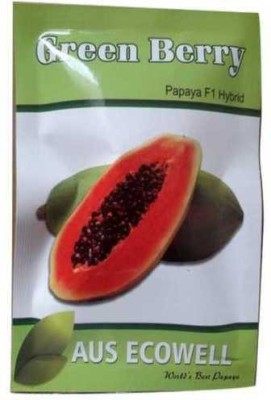 Jevik GREENBERRY HYBRID PAPAYA Seed(10 g)