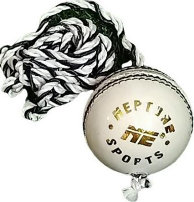 NE NEPTUNE HANGING LEATHER BALL WHITE FOR KNOCKING Cricket Leather Ball(Pack of 1)