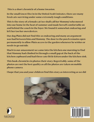 Kittens Under my Kitchen Sink(English, Paperback, Reynolds Ivan)