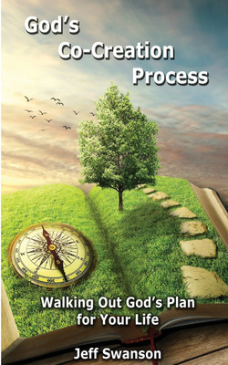 God's Co-Creation Process(English, Paperback, Swanson Jeff S)