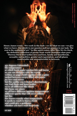 After This We Go Dark(English, Paperback, Davis Theresa)