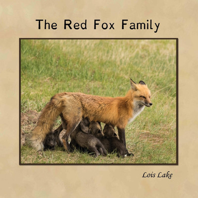 The Red Fox Family(English, Paperback, Lake Lois)