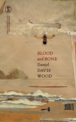 Blood and Bone(English, Paperback, Davis Wood Daniel)