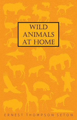 Wild Animals At Home(English, Paperback, Seton Ernest Thompson)