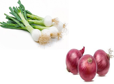 Sjeme Spring Onion & Red Onion Seed Combo Seed(10 per packet)