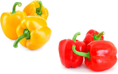 Sjeme Red & Yellow Capsicum Seed Combo Seed(12 per packet)