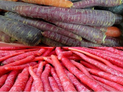 Sjeme Black & Red Carrot Seed Combo Seed(13 per packet)