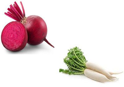 Sjeme Beetroot & Radish Seed Combo Seed(10 per packet)