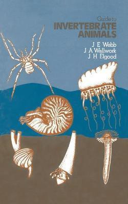 Guide to Invertebrate Animals(English, Paperback, Webb Joseph Ernest)