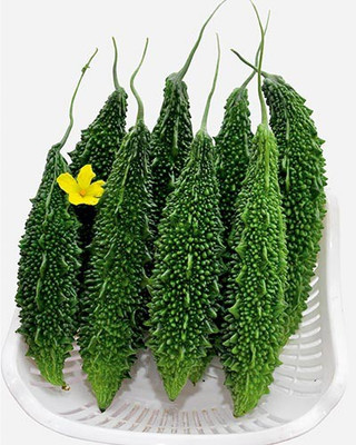 Arshiayat Vegetable Seed -Bitter Gourd - Karela Seeds F1 Hybrid Seed(70 per packet)