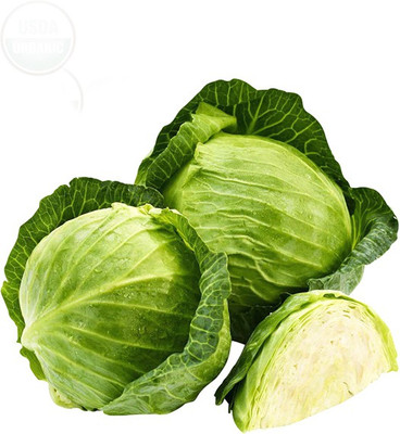 LYRS Green Organic Cabbage Seed Seed(500 per packet)
