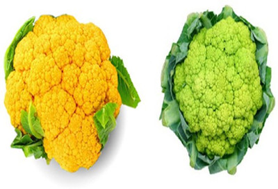 V Seed Cauliflower Seed Combo of 2 Cauliflower Seed(25 per packet)