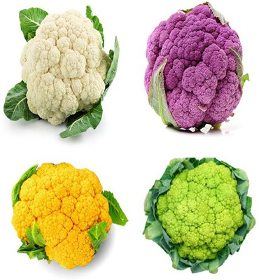 Sjeme Cauliflower Seed Combo of 4 Cauliflower Seed(30 per packet)