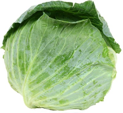 LYRS Cabbage Seed(130 per packet)