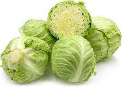 LYRS Pusa Synthetic Cabbage Seed Seed(45 per packet)