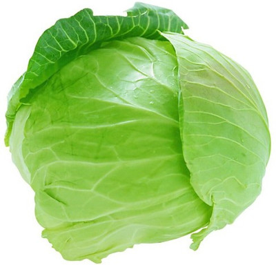 LYRS Cabbage Seed Seed(80 per packet)