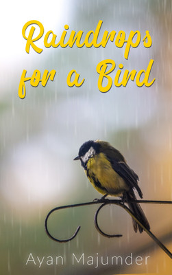 Raindrops For A Bird(Paperback, Ayan Majumder)