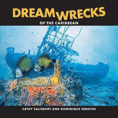 DreamWrecks of the Caribbean(English, Paperback, Salisbury Cathy)