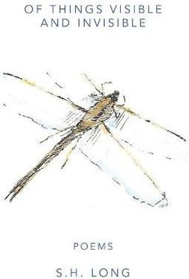 Of Things Visible and Invisible(English, Paperback, Long S H)