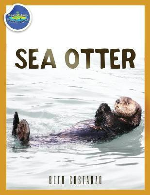Sea Otter ages 2-4(English, Paperback, Costanzo Beth)