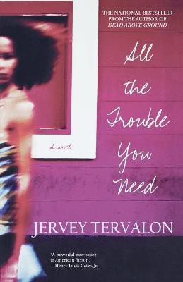 All the Trouble You Need(English, Paperback, Tervalon Jervey)