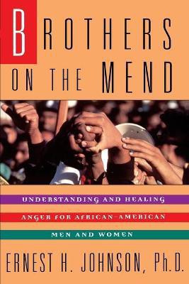 Brothers on the Mend(English, Paperback, Johnson Ernest H.)